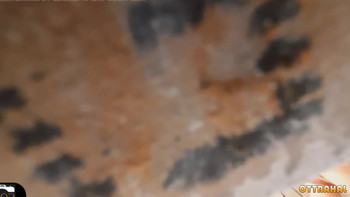 Банщик застукал мастурбирующую красотку в душе